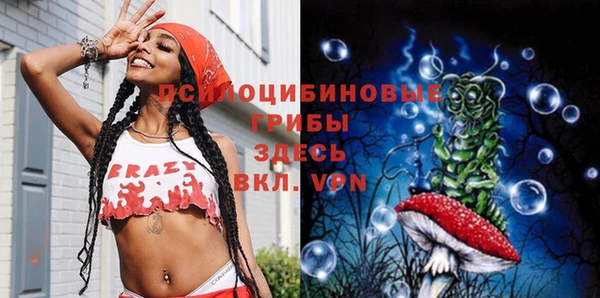молекула духа Иннополис
