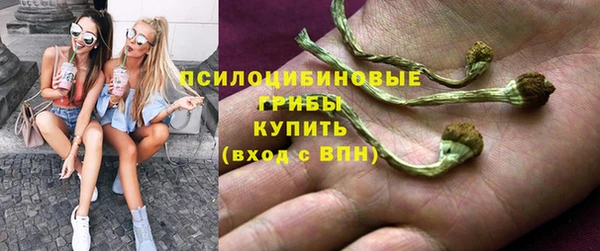 марки nbome Инсар