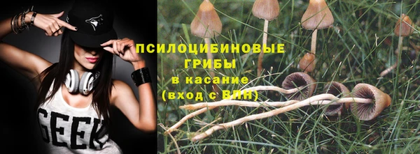 ECSTASY Инта