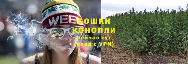 молекула духа Иннополис