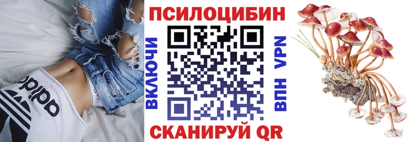 Купить  Собинка  Псилоцибиновые грибы ЛСД 